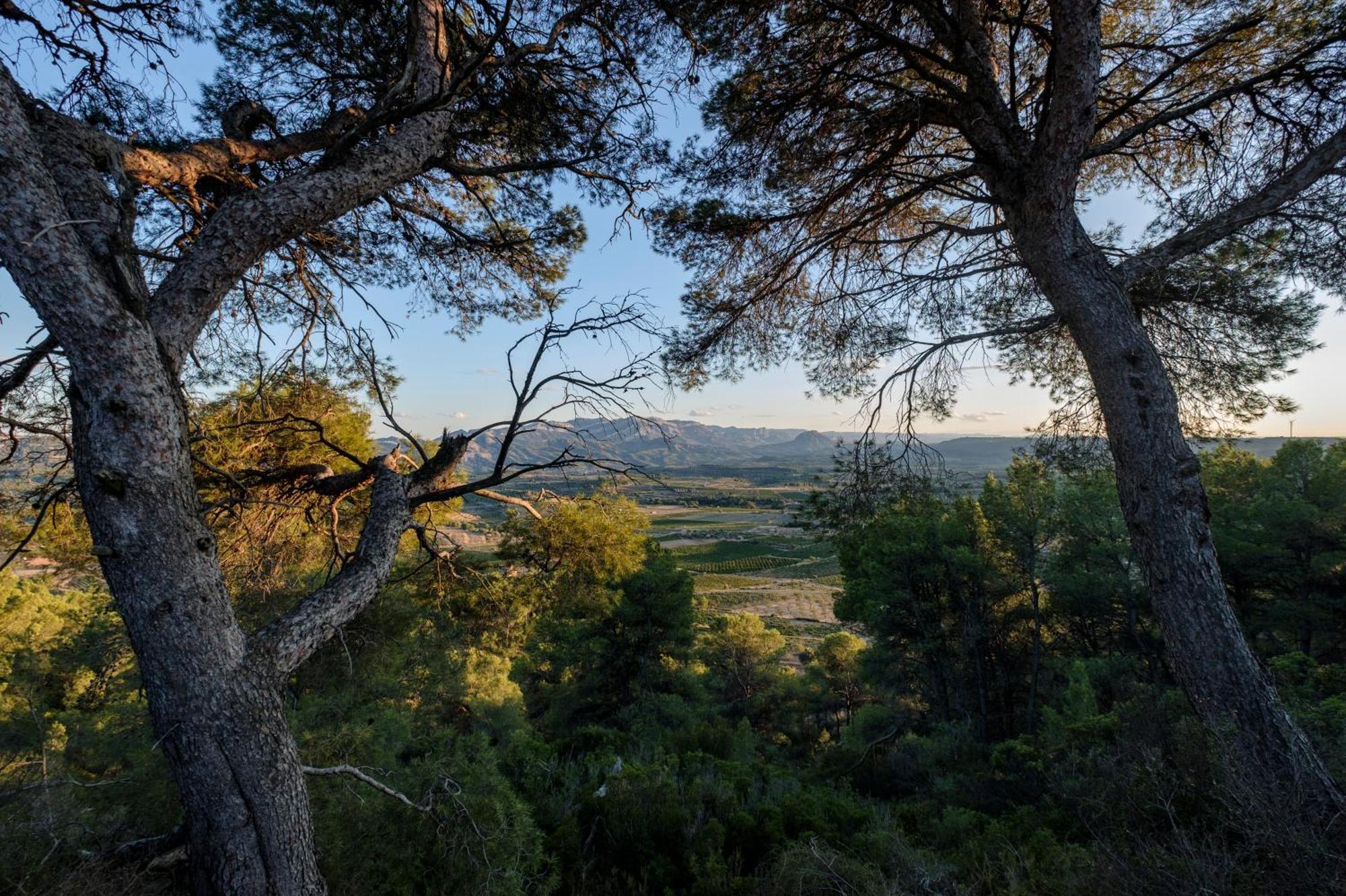 Enoturismo Celler Pinol Lejlighed Batea Eksteriør billede